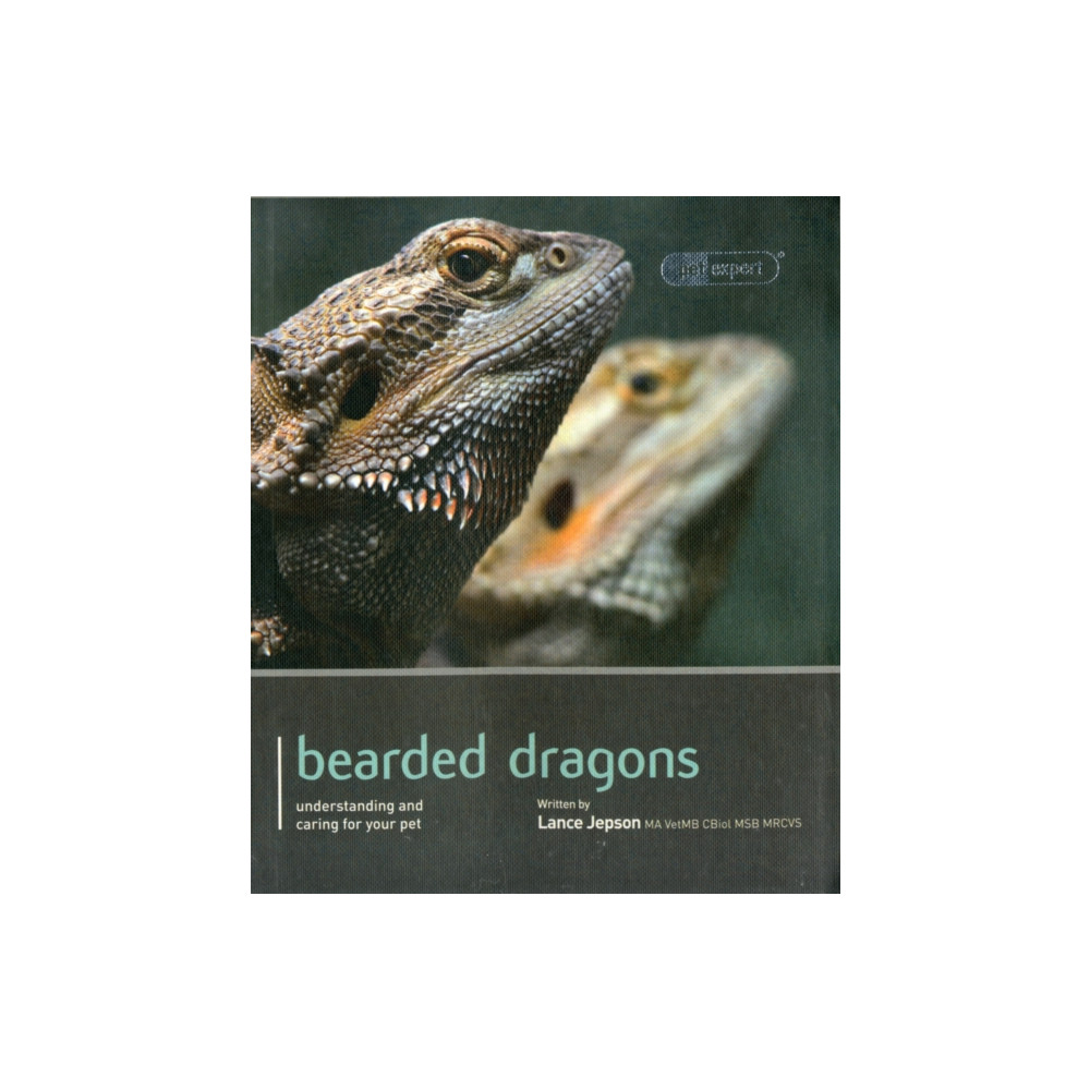 Produktbild för Bearded Dragon - Pet Expert (häftad, eng)