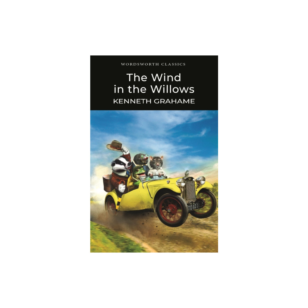Produktbild för The Wind in the Willows (häftad, eng)