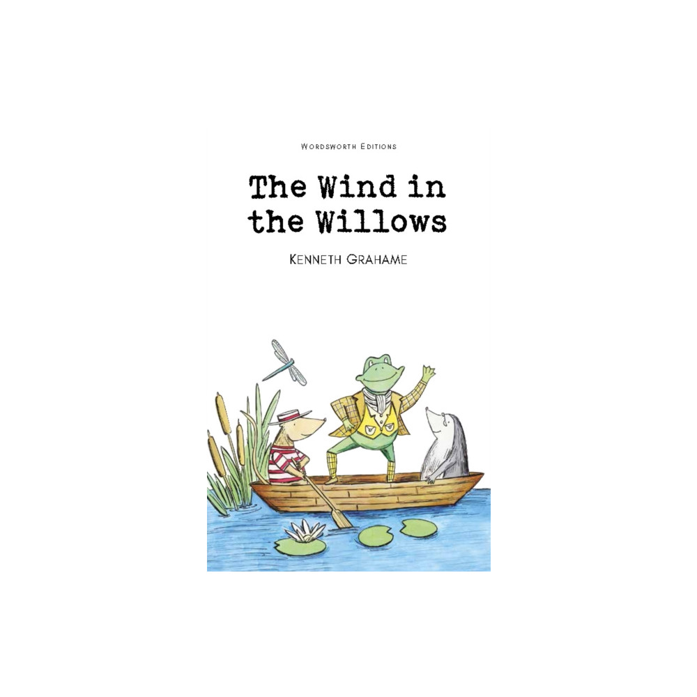 Produktbild för The Wind in the Willows (häftad, eng)