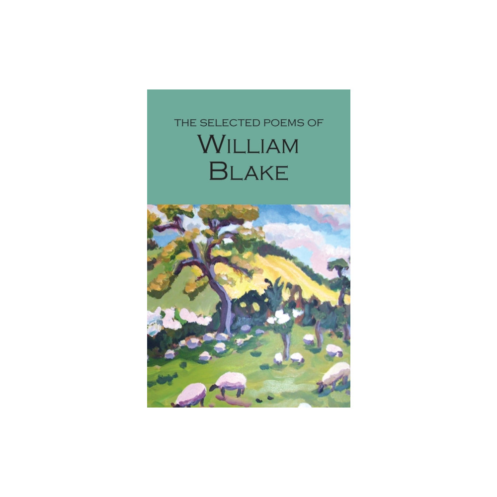 Produktbild för The Selected Poems of William Blake (häftad, eng)