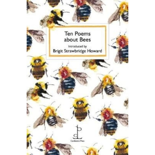 Candlestick Press Ten Poems about Bees (häftad, eng)