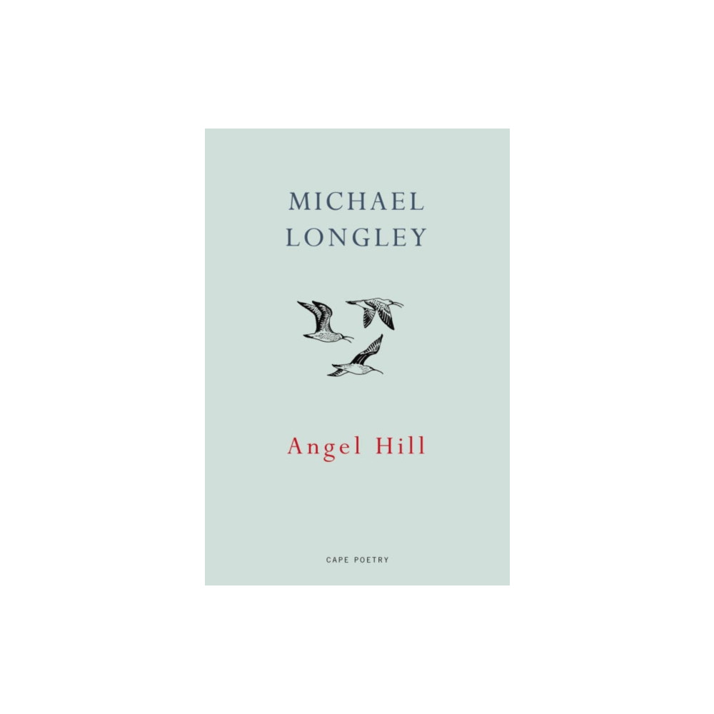 Produktbild för Angel Hill (häftad, eng)