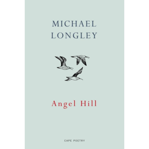 Vintage Publishing Angel Hill (häftad, eng)