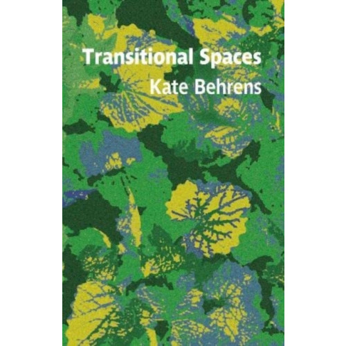 Two Rivers Press Transitional Spaces (häftad, eng)