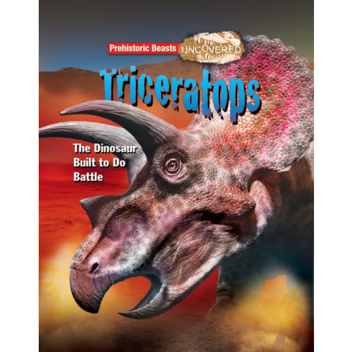 Ruby Tuesday Books Ltd Triceratops (häftad, eng)