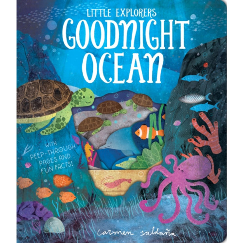 Little Tiger Press Group Goodnight Ocean (bok, board book, eng)