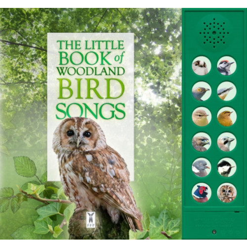 Fine Feather Press Ltd The Little Book of Woodland Bird Songs (bok, board book, eng)