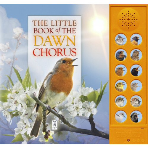 Fine Feather Press Ltd The Little Book of the Dawn Chorus (bok, board book, eng)