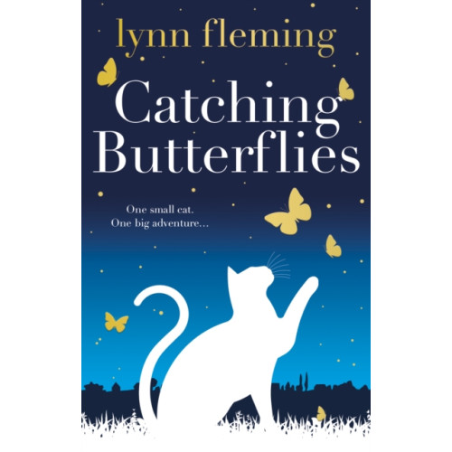 The Book Guild Ltd Catching Butterflies (häftad, eng)