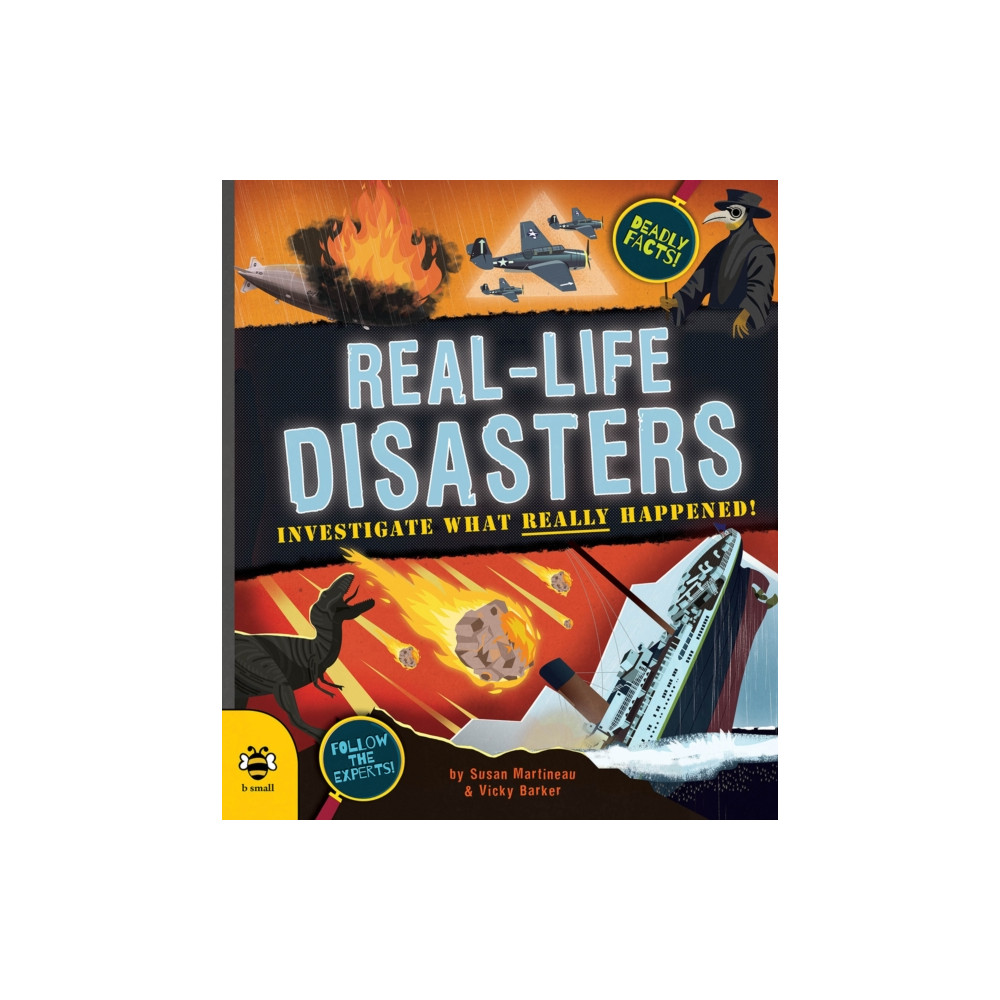 Produktbild för Real-life Disasters (häftad, eng)