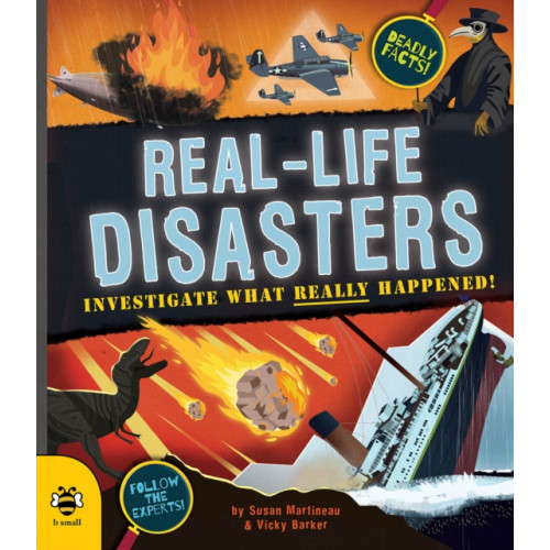 b small publishing limited Real-life Disasters (häftad, eng)