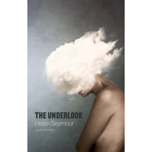 Smith|Doorstop Books The Underlook (häftad, eng)