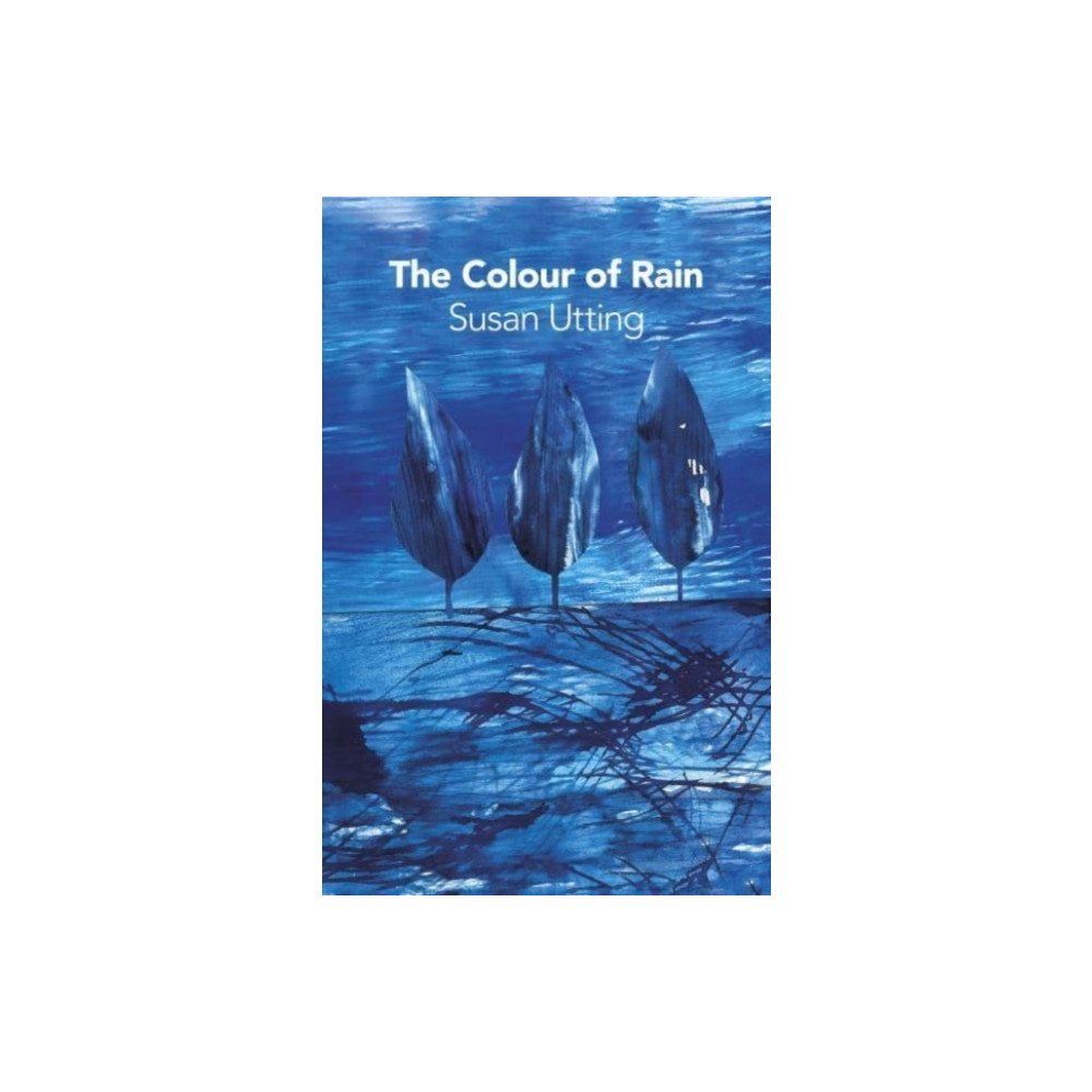 Produktbild för The Colour of Rain (häftad, eng)