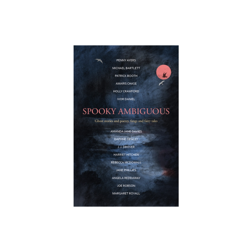 Produktbild för Spooky Ambiguous (häftad, eng)