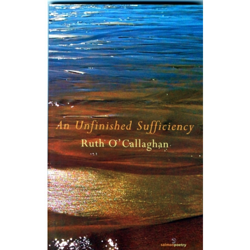 Salmon Poetry An Unfinished Sufficiency (häftad, eng)