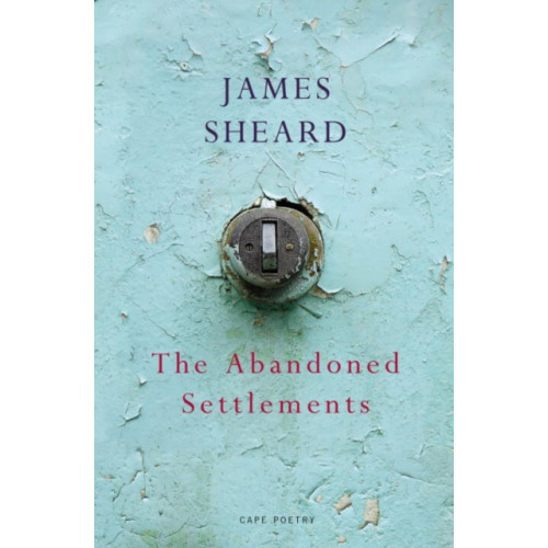 Vintage Publishing The Abandoned Settlements (häftad, eng)