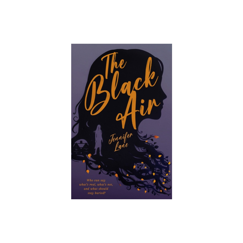 Produktbild för The Black Air (häftad, eng)