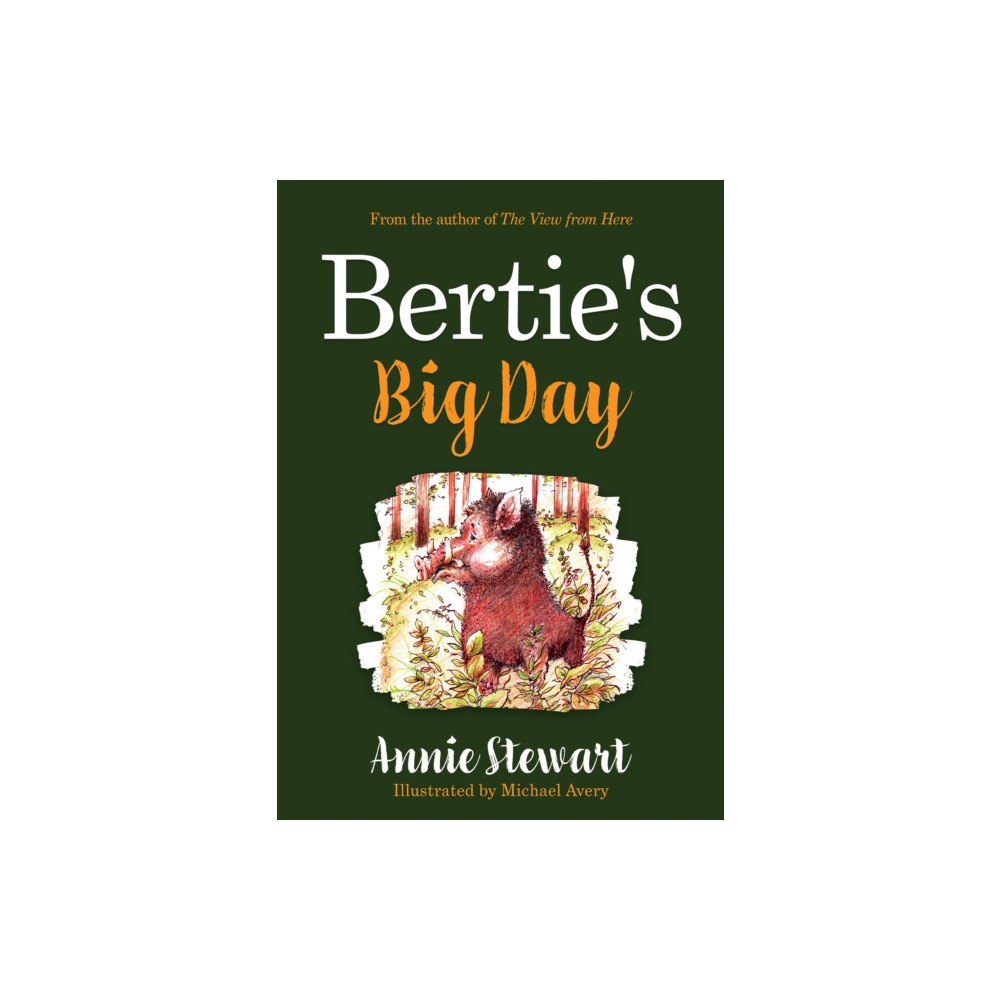 Produktbild för Bertie's Big Day (häftad, eng)