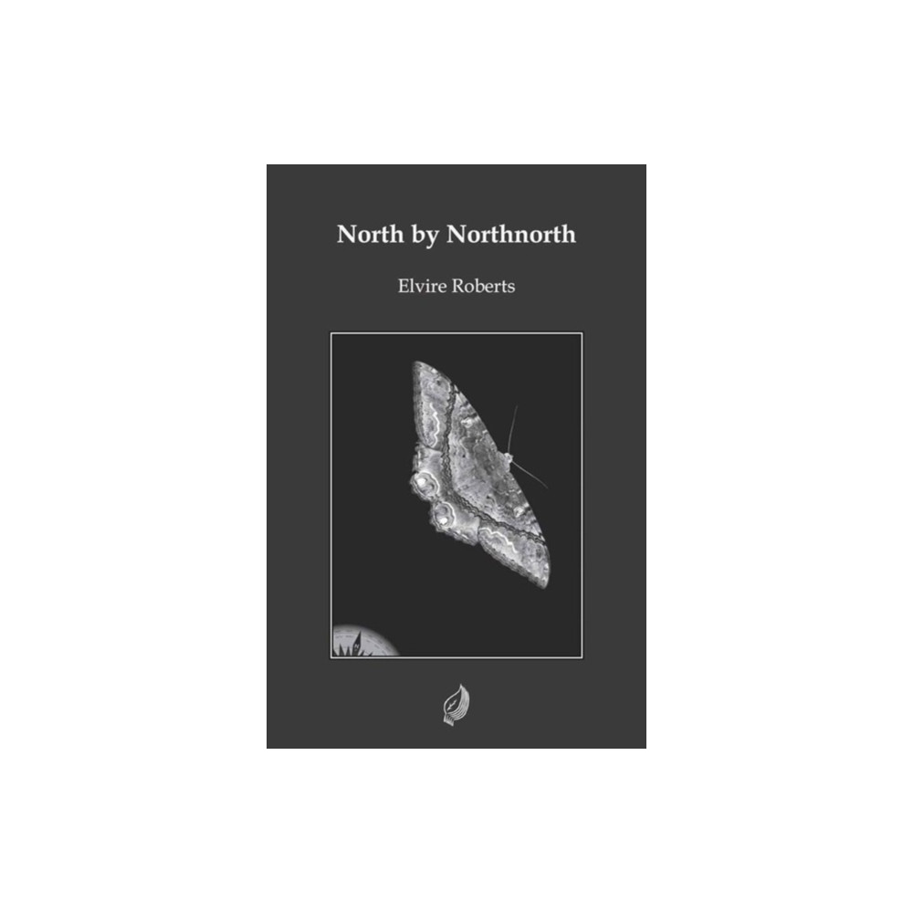 Produktbild för North by Northnorth (häftad, eng)