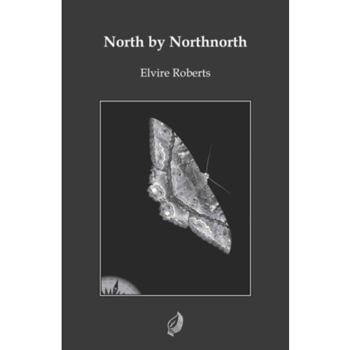 Five Leaves Publications North by Northnorth (häftad, eng)