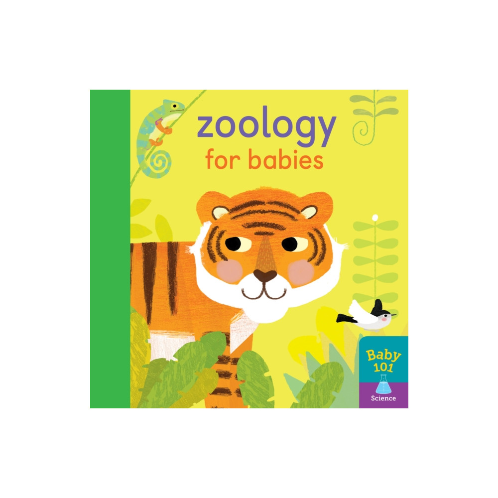 Produktbild för Zoology for Babies (bok, board book, eng)