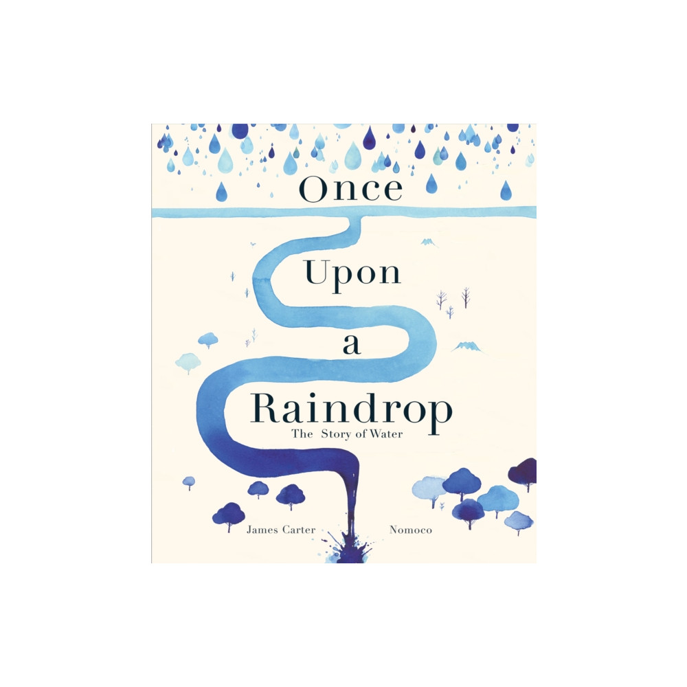 Produktbild för Once Upon a Raindrop (häftad, eng)