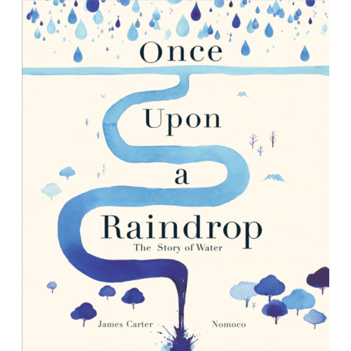 Little Tiger Press Group Once Upon a Raindrop (häftad, eng)
