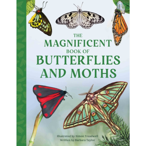 Weldon Owen Children's Books The Magnificent Book of Butterflies and Moths (inbunden, eng)