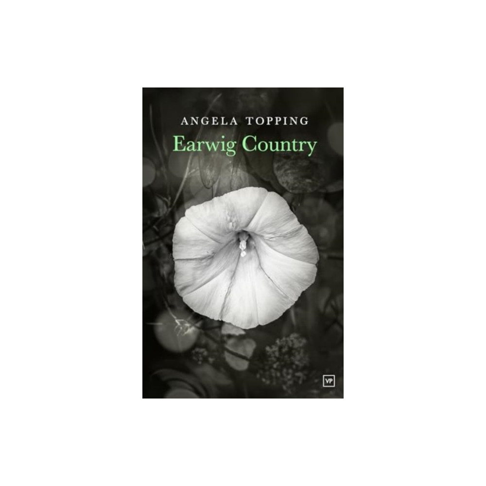 Produktbild för Earwig Country (häftad, eng)