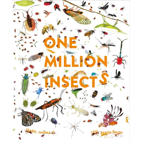 Hachette Children's Group One Million Insects (inbunden, eng)
