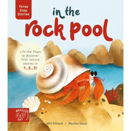 Magic Cat Publishing Three Step Stories: In the Rock Pool (bok, board book)