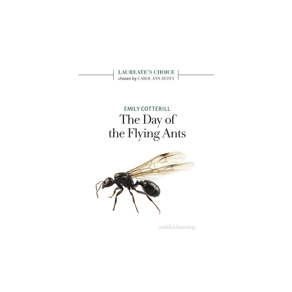 Produktbild för The Day of the Flying Ants (häftad, eng)