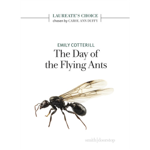 Smith|Doorstop Books The Day of the Flying Ants (häftad, eng)