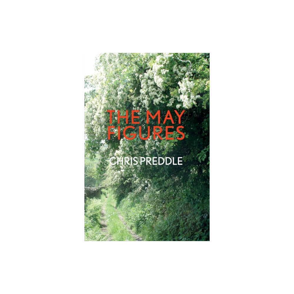 Produktbild för The May Figures (häftad, eng)