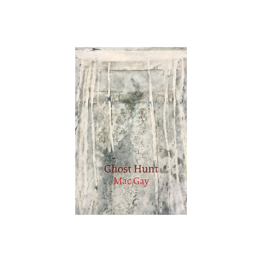 Produktbild för Ghost Hunt (häftad, eng)