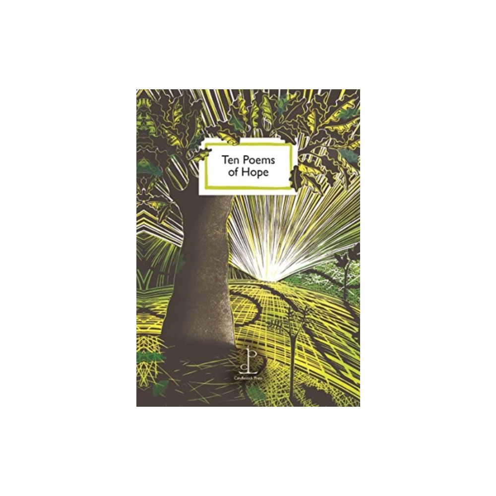 Produktbild för Ten Poems of Hope (häftad, eng)