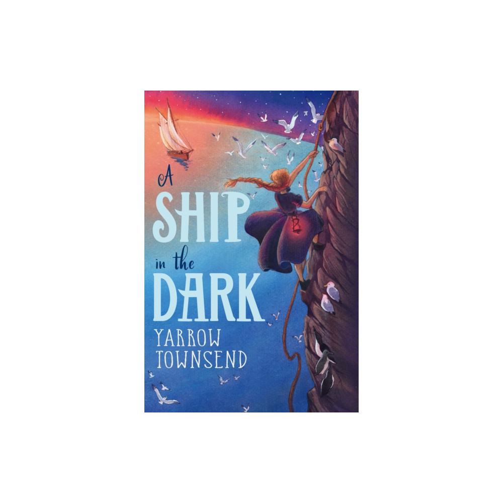 Produktbild för A Ship in the Dark (häftad, eng)