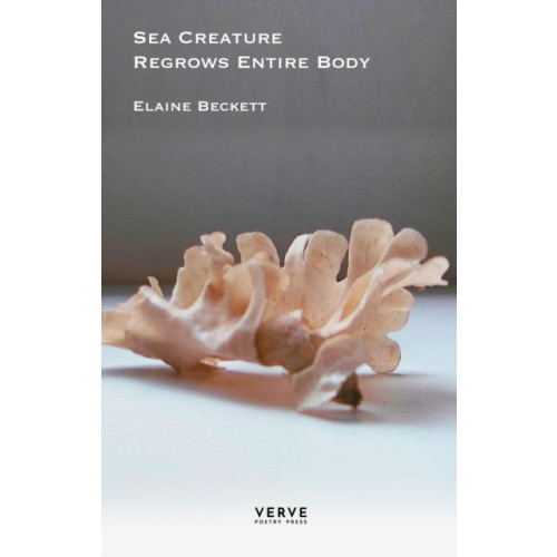 Verve Poetry Press Sea Creature Regrows Entire Body (häftad, eng)