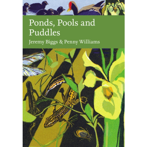 HarperCollins Publishers Ponds, Pools and Puddles (inbunden, eng)