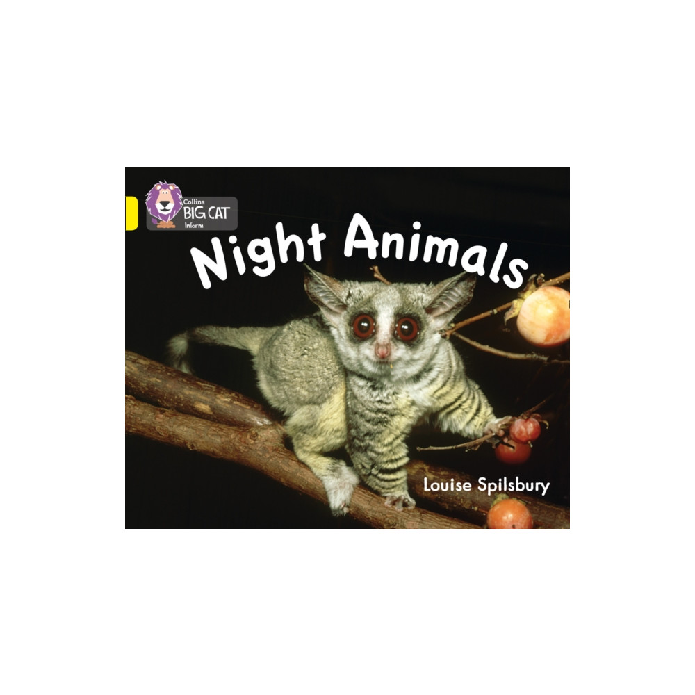 Produktbild för Night Animals (häftad, eng)
