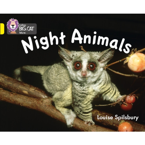 HarperCollins Publishers Night Animals (häftad, eng)