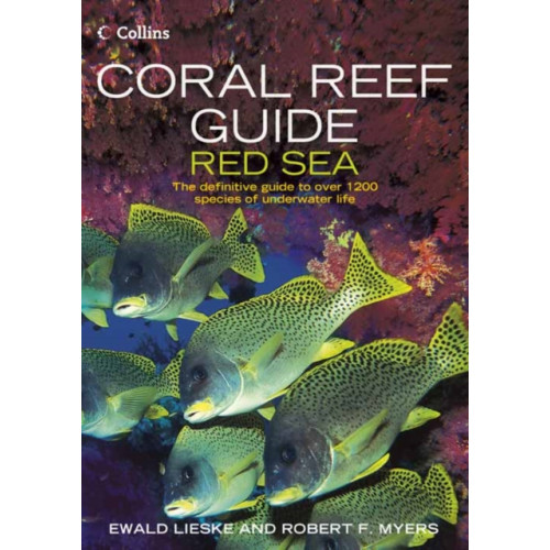 HarperCollins Publishers Coral Reef Guide Red Sea (häftad, eng)
