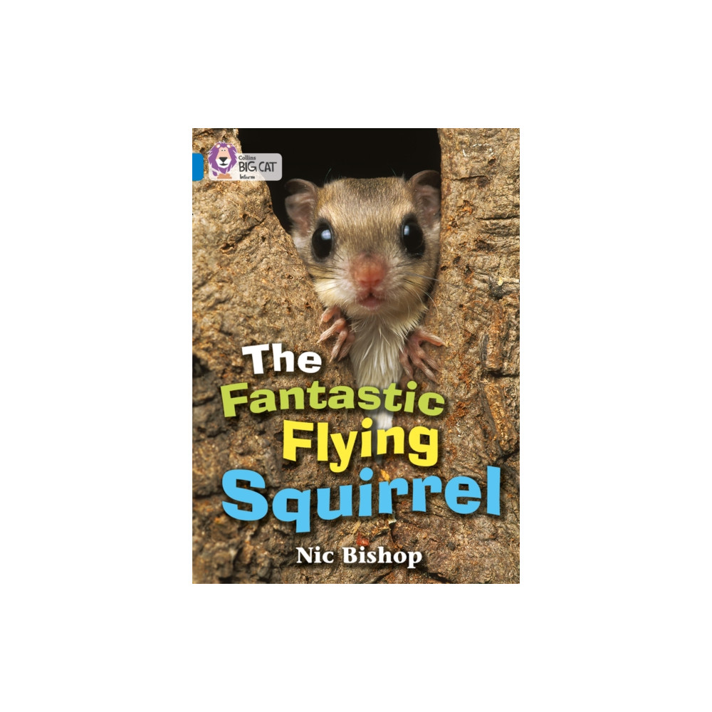 Produktbild för The Fantastic Flying Squirrel (häftad, eng)