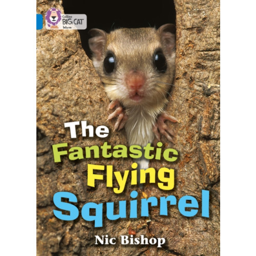 HarperCollins Publishers The Fantastic Flying Squirrel (häftad, eng)
