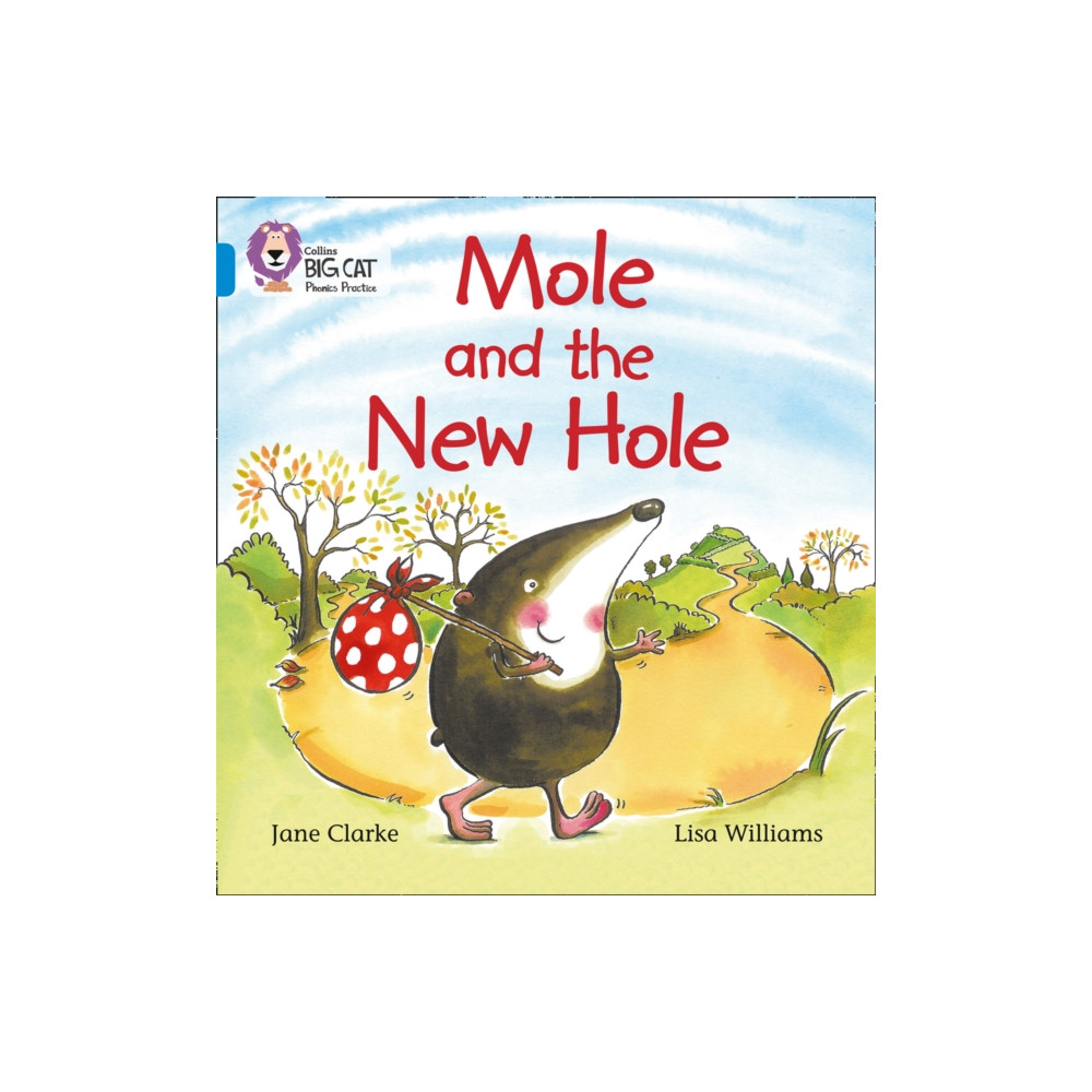 Produktbild för Mole and the New Hole (häftad, eng)