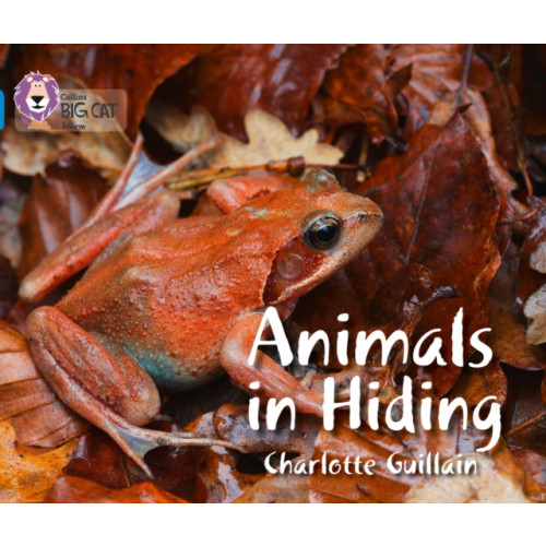 HarperCollins Publishers Animals in Hiding (häftad, eng)