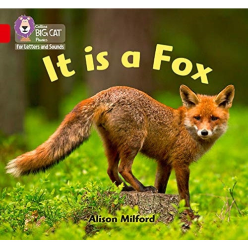 HarperCollins Publishers It is a Fox (häftad, eng)