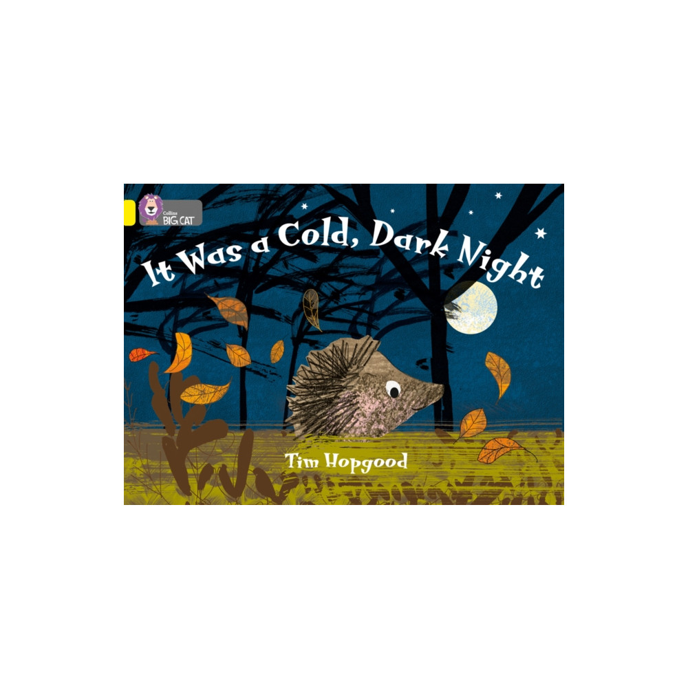 Produktbild för It Was a Cold Dark Night (häftad, eng)