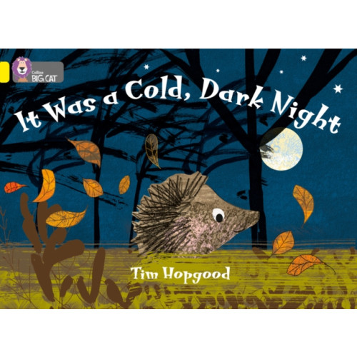 HarperCollins Publishers It Was a Cold Dark Night (häftad, eng)