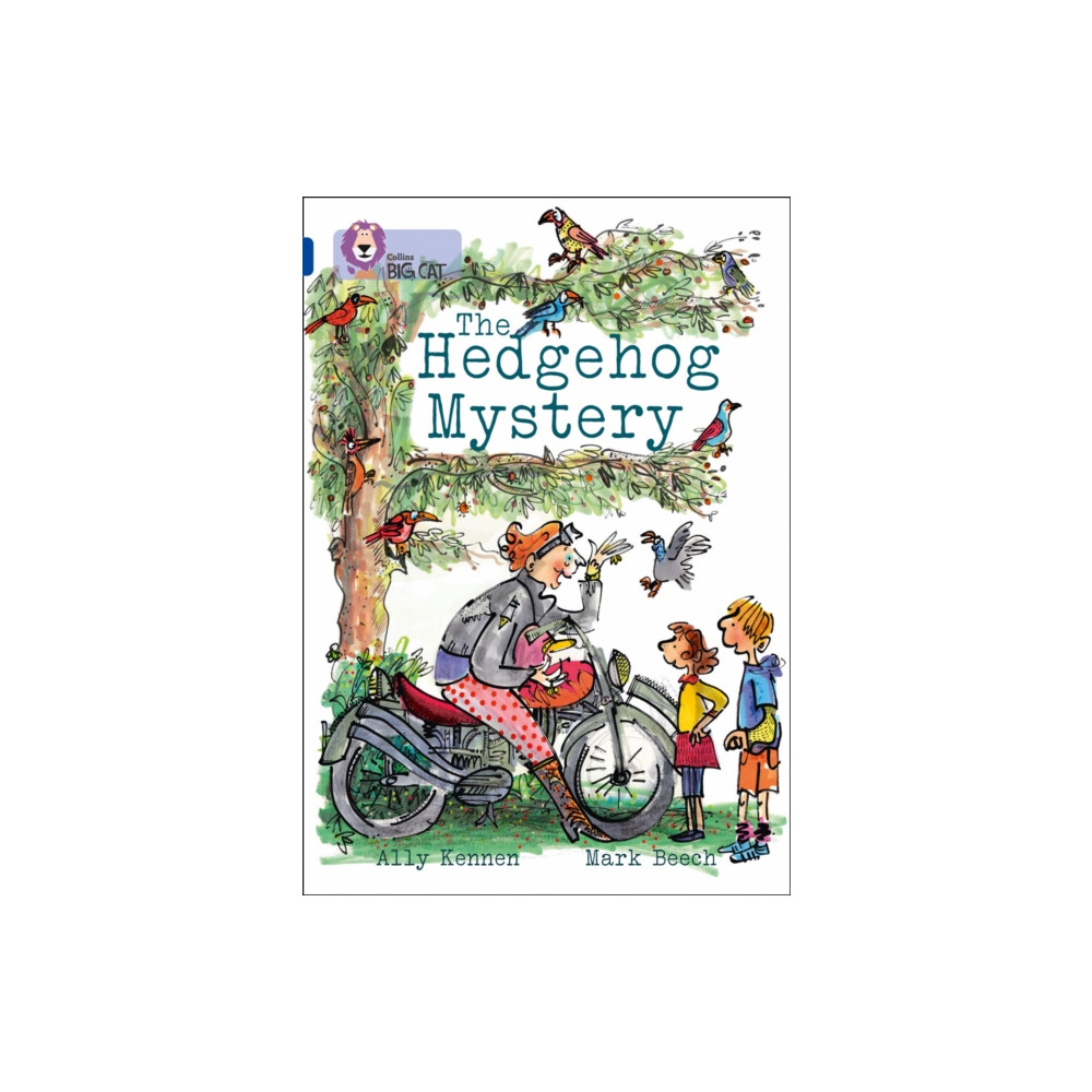 Produktbild för The Hedgehog Mystery (häftad, eng)